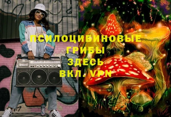 ПСИЛОЦИБИНОВЫЕ ГРИБЫ Лихославль