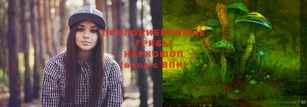 ПСИЛОЦИБИНОВЫЕ ГРИБЫ Лихославль