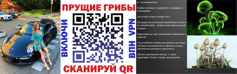 Купить  Кохма  Псилоцибиновые грибы MAGIC MUSHROOMS 