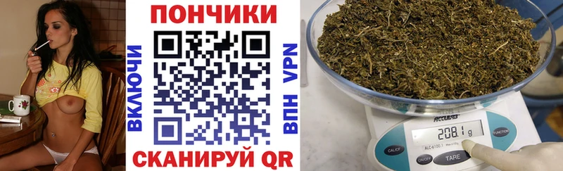 Купить где  Кохма  Каннабис ГИДРОПОН 